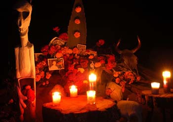 Our ofrenda at night