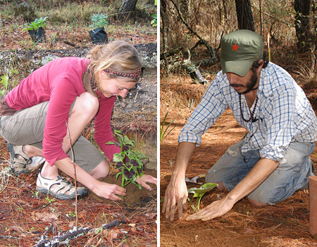 planting_gardens